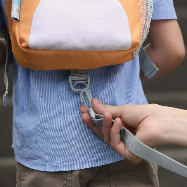 Backpack Harness with Removable Tether (Fox)